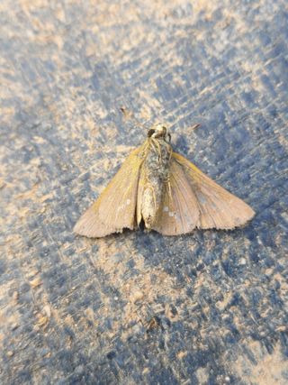 둥이농장(김준태)님의 자유주제 · 자유게시판 작성글 사진