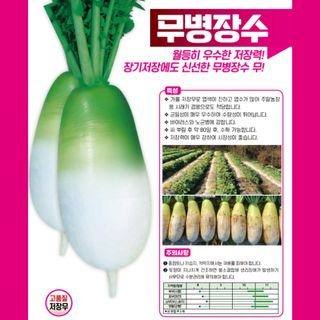 아시아종묘님의 자유주제 · 자유게시판 작성글 사진