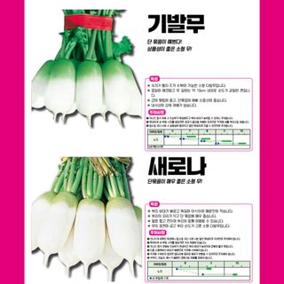 아시아종묘님의 자유주제 · 자유게시판 작성글 사진