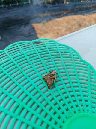 둥이농장(김준태)님의 자유주제 · 자유게시판 작성글 사진