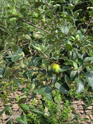 이세순님의 자유주제 · 자유게시판 작성글 사진