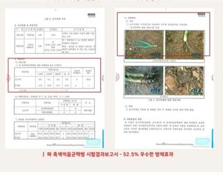 대산농사대장님의 고추 · 비료•농약 작성글 사진