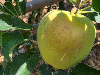 화성농원님의 자유주제 · 자유게시판 작성글 사진