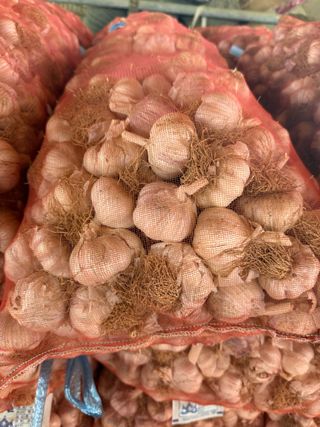 참깨22136님의 자유주제 · 자유게시판 작성글 사진