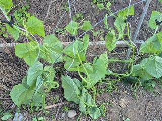 이정민님의 자유주제 · 자유게시판 작성글 사진