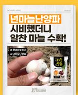 팜모닝 자유주제·자유게시판 게시글 이미지