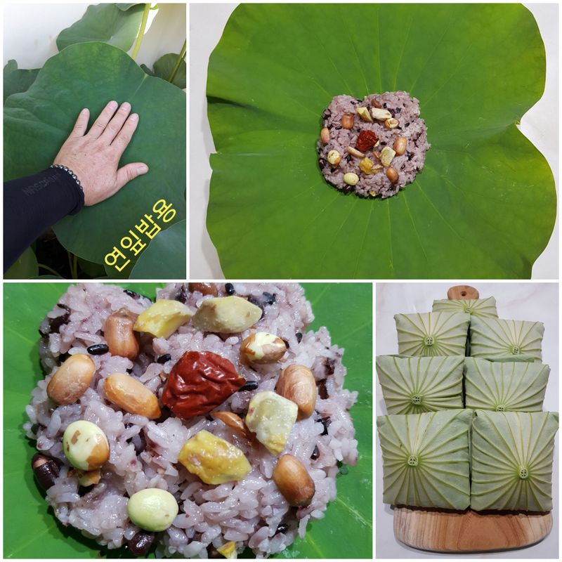 백련지기님의 장터 판매 상품 [생연잎 ㅡ2종류] 첨부 사진