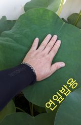 팜모닝 · 게시글 이미지