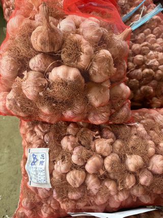 참깨22136님의 자유주제 · 자유게시판 작성글 사진