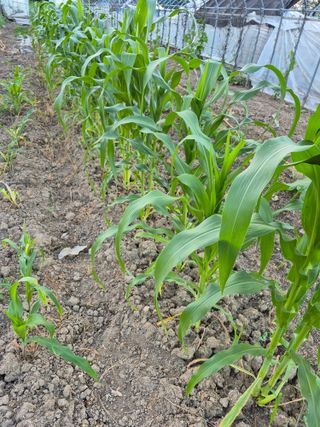 이정민님의 자유주제 · 자유게시판 작성글 사진