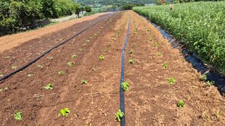 부채도사님의 자유주제 · 자유게시판 작성글 사진