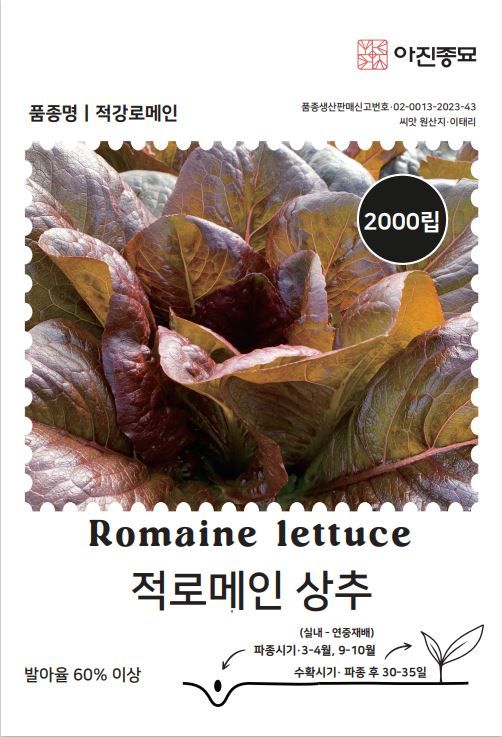 주주씨앗님의 장터 판매 상품 [[아진] 적로메인상추 2000립 적상추 상추씨앗 쌈채소] 첨부 사진