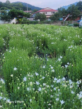송명석님의 자유주제 · 자유게시판 작성글 사진