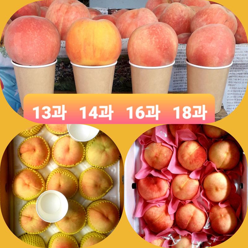 이슬농부농산님의 장터 판매 상품 [[히트상품]복숭아[황도/백도]당도짱4kg] 첨부 사진