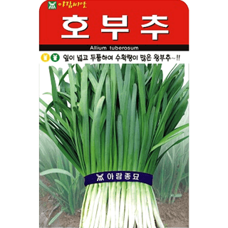 주주씨앗님의 작성글 사진