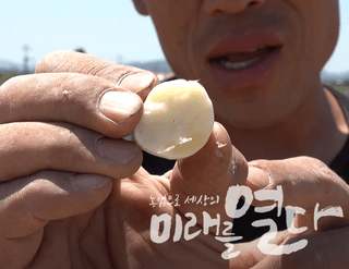 누보농장님의 자유주제 · 자유게시판 작성글 사진