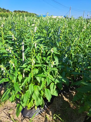 좋은인연원님의 자유주제 · 자유게시판 작성글 사진