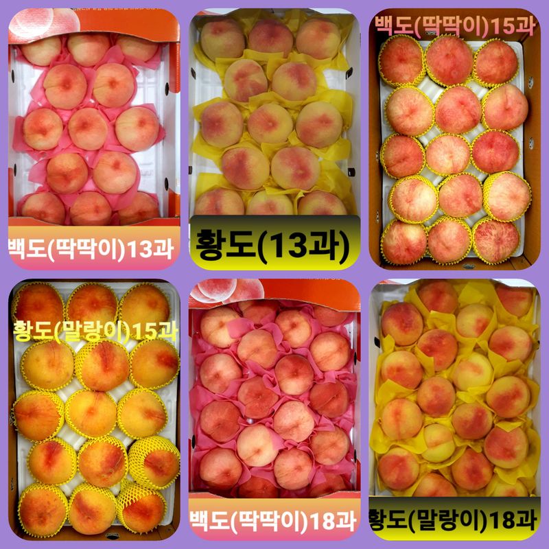 이슬농부농산님의 장터 판매 상품 [[히트상품]복숭아[황도/백도]당도짱4kg] 첨부 사진