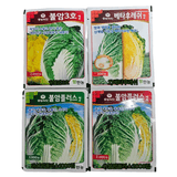 대산농사대장님의 배추·품종•종자 작성글 사진