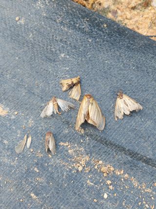 둥이농장(김준태)님의 자유주제 · 자유게시판 작성글 사진