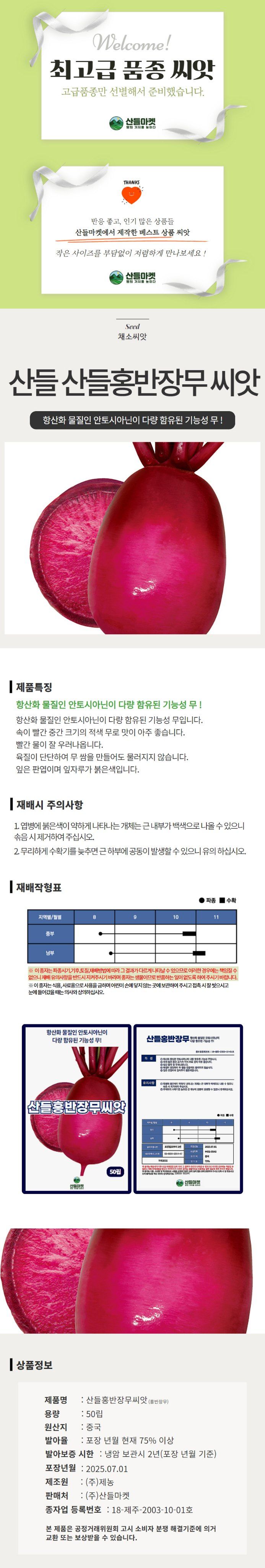 산들마켓,씨앗마켓님의 장터 판매 상품 [산들 홍반장 무씨앗 50립 항산화 물질 안토시아닌 다량 함유 소량 적색무씨 종자] 첨부 사진