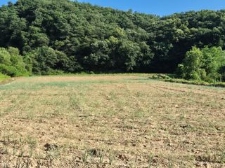 훈장님의 자유주제 · 자유게시판 작성글 사진