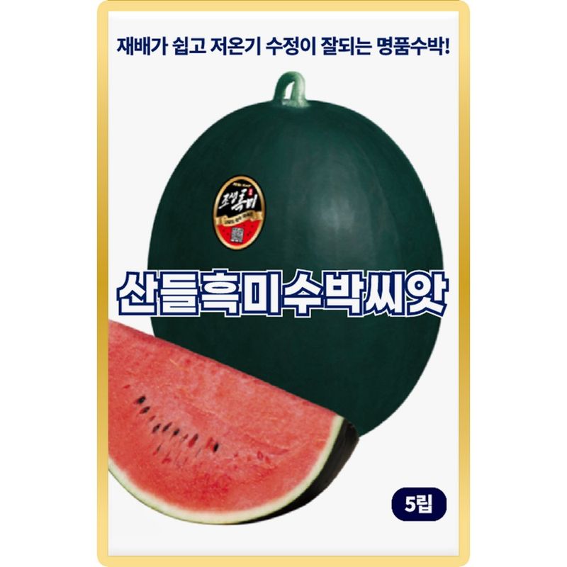 장터 상품 [산들 흑미 수박씨앗 5립 재배 쉽고 저온기 수정 잘되는 소량 흑수박씨 종자] 썸네일
