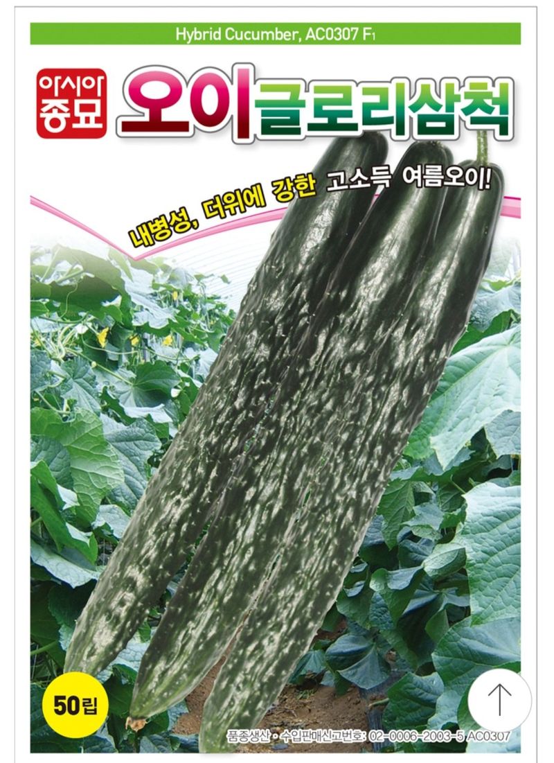 한농농약종묘사님의 장터 판매 상품 [가시오이, 청오이씨앗 여름오이씨앗] 첨부 사진