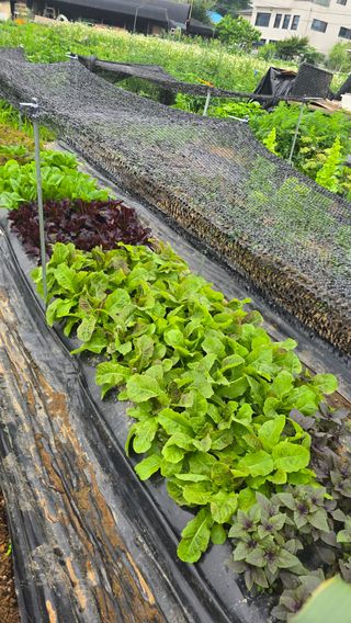 하재은님의 자유주제 · 자유게시판 작성글 사진