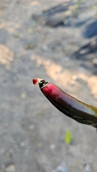 배성은365님의 자유주제 · 자유게시판 작성글 사진