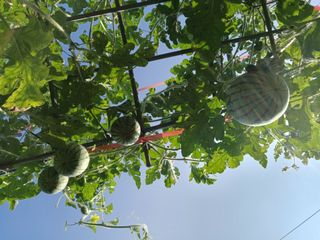 금동이네님의 자유주제 · 자유게시판 작성글 사진