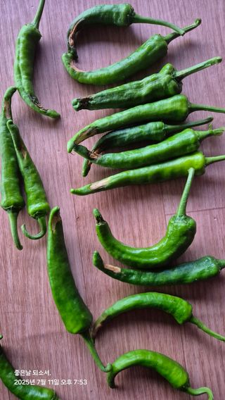 김진님의 자유주제 · 자유게시판 작성글 사진