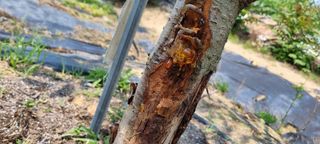 윤섭님의 자유주제 · 자유게시판 작성글 사진