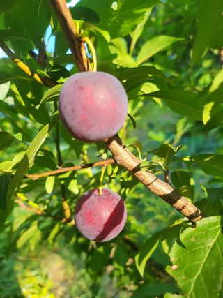 이동희님의 자유주제 · 자유게시판 작성글 사진