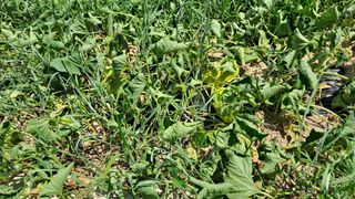 MSG0074님의 자유주제 · 자유게시판 작성글 사진