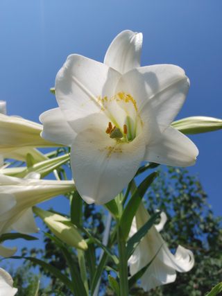 안길원님의 자유주제 · 자유게시판 작성글 사진