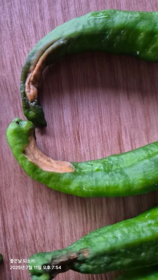 김진님의 자유주제 · 자유게시판 작성글 사진