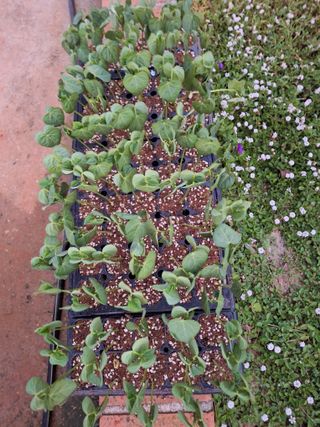 김은숙님의 자유주제 · 자유게시판 작성글 사진