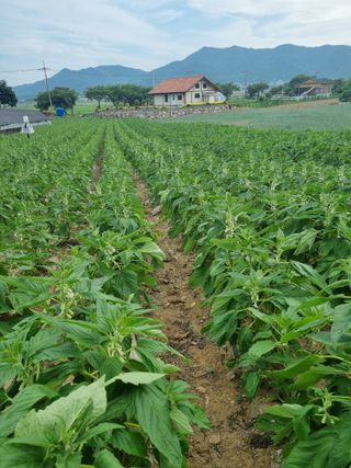 차재경님의 자유주제 · 자유게시판 작성글 사진