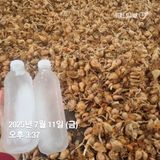 민들레님의 자유주제·자유게시판 작성글 사진