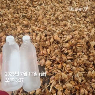 민들레님의 자유주제 · 자유게시판 작성글 사진