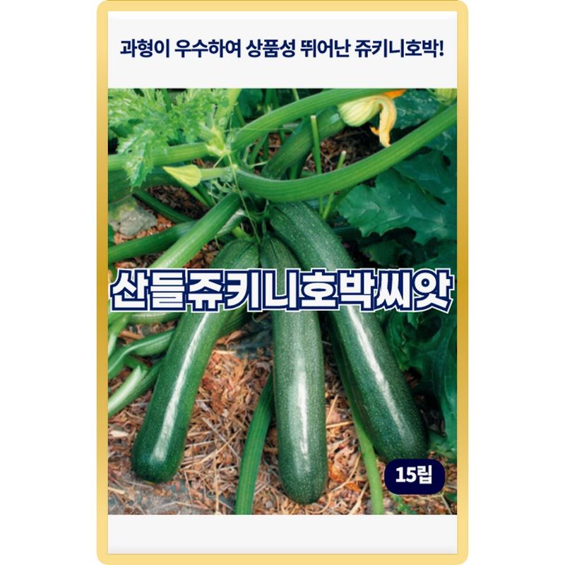 장터 상품 [산들 쥬키니 호박씨앗 15립 과형 우수하고 상품성 뛰어난 쥬키니 호박씨 종자] 썸네일