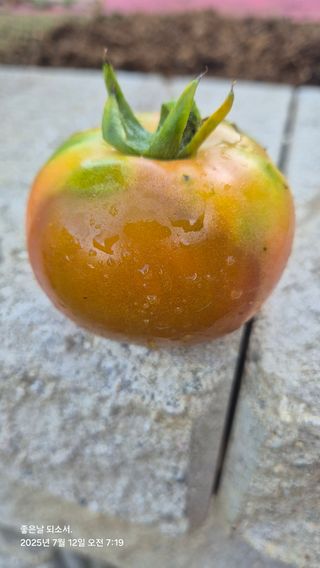 김진님의 자유주제 · 자유게시판 작성글 사진