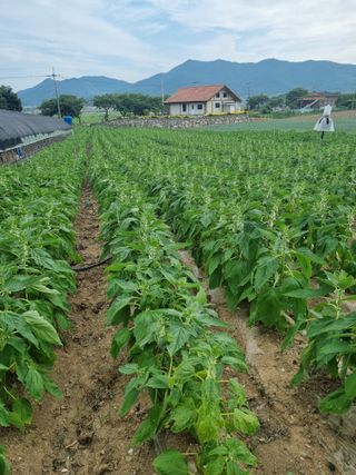 차재경님의 자유주제 · 자유게시판 작성글 사진