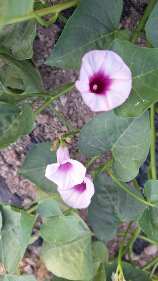 오남현님의 자유주제 · 자유게시판 작성글 사진