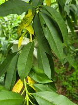 팜모닝 농사, 무엇이든 물어보세요!·참여글 게시글 이미지