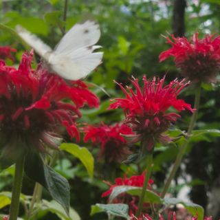 안길원님의 자유주제 · 자유게시판 작성글 사진