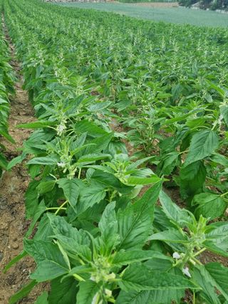 차재경님의 자유주제 · 자유게시판 작성글 사진