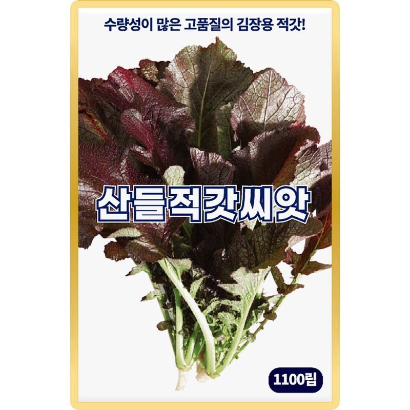 장터 상품 [산들 적갓씨앗 1100립 수량성 많고 김장용 고품질 소량 적갓씨 종자] 썸네일