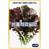 팜모닝 · 게시글 이미지